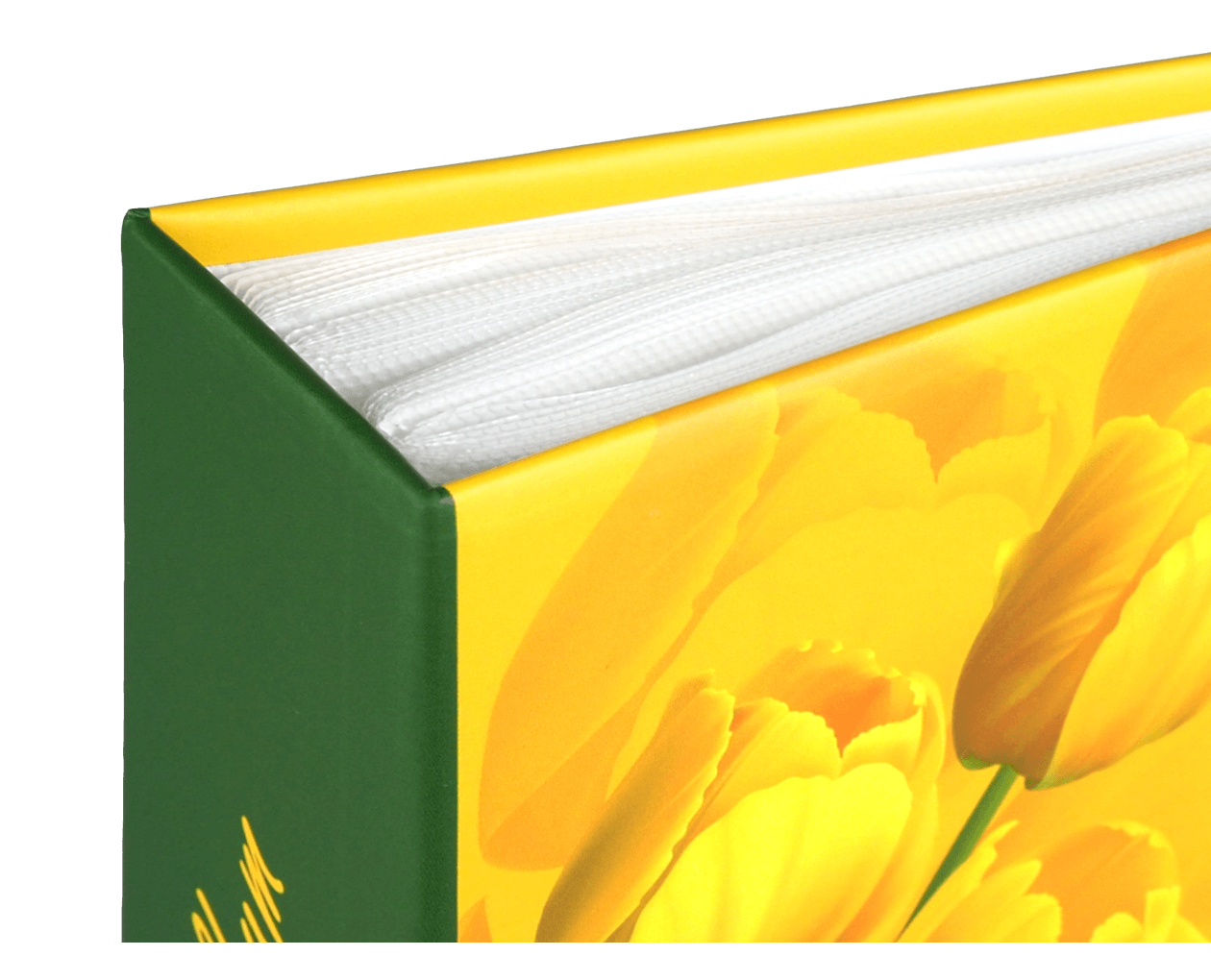 Product image thumbnail