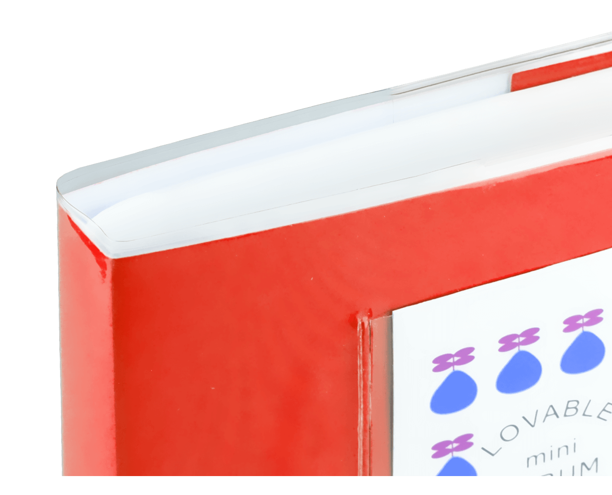 Product image thumbnail