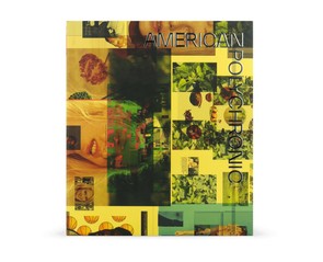 Книга "American Polychronic"