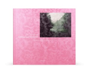 Книга "Jean-Luc Bertini. Americanes Solitudes"
