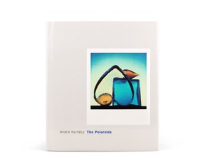 Книга "The Polaroids"