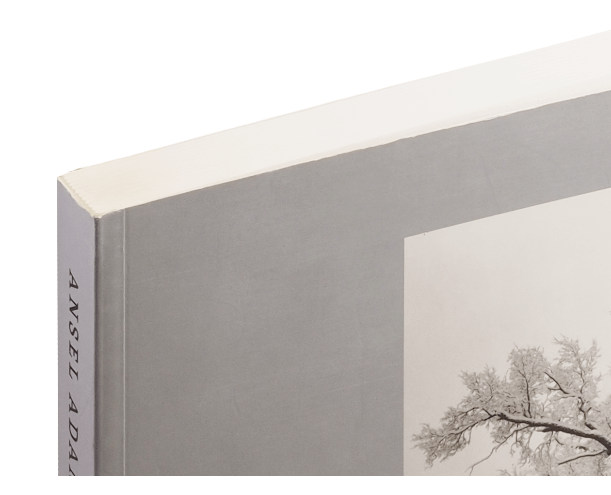 Product image thumbnail