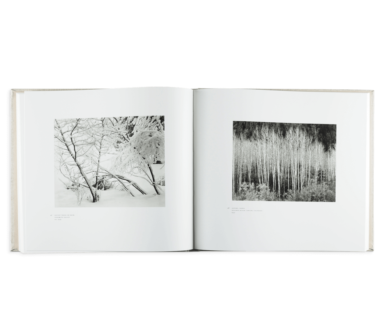 Product image thumbnail