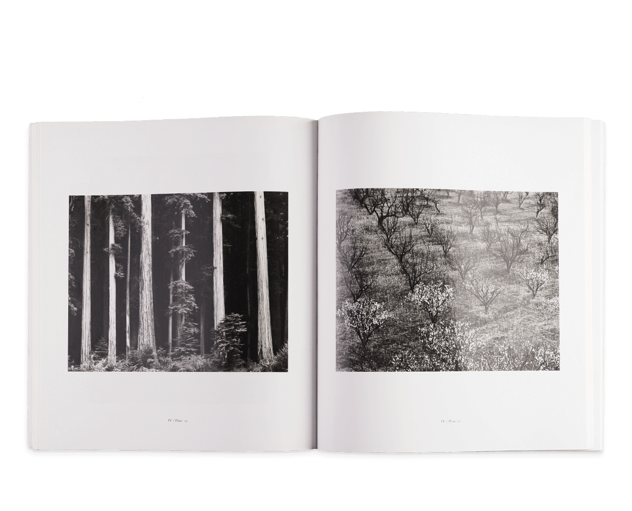 Product image thumbnail