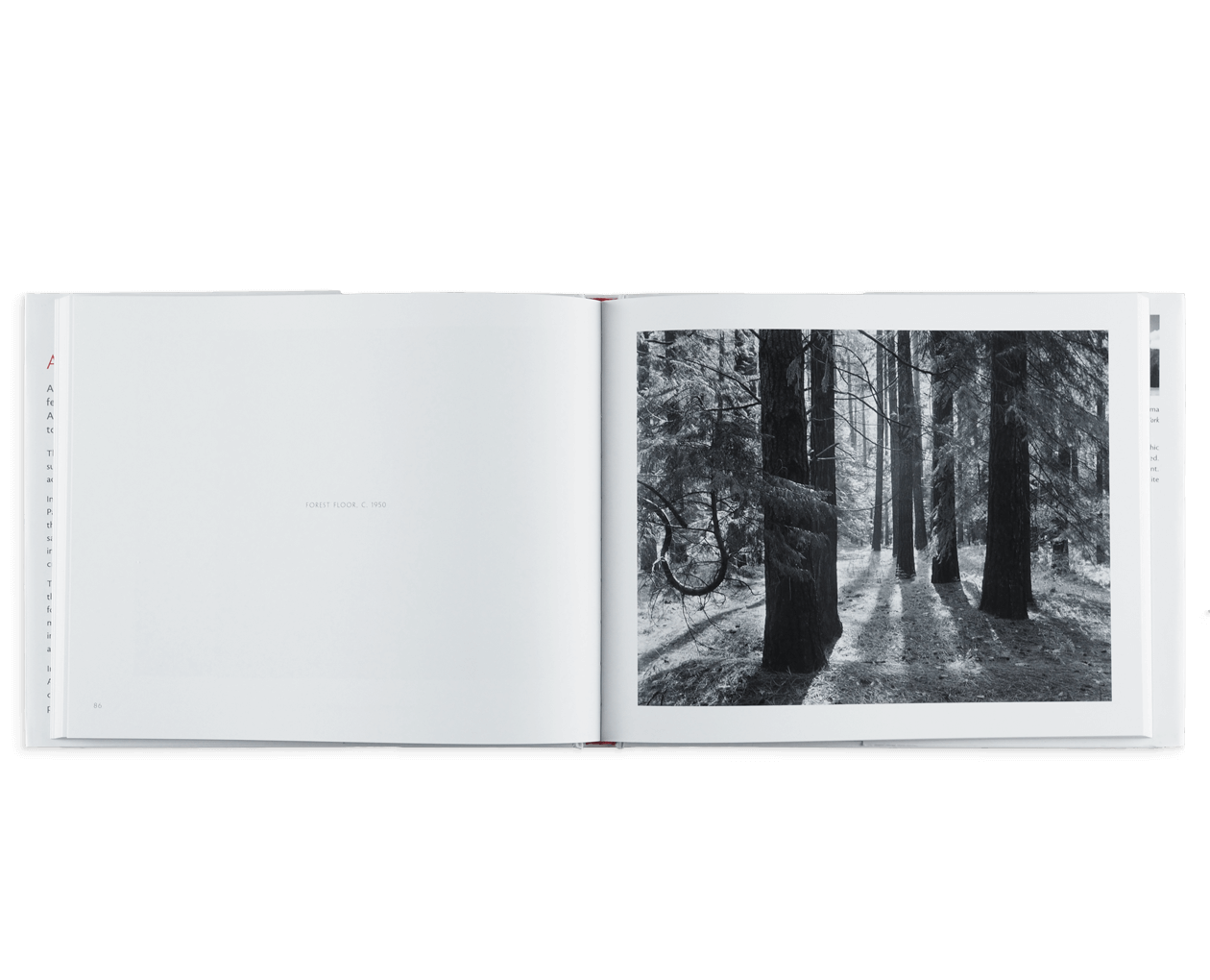 Product image thumbnail