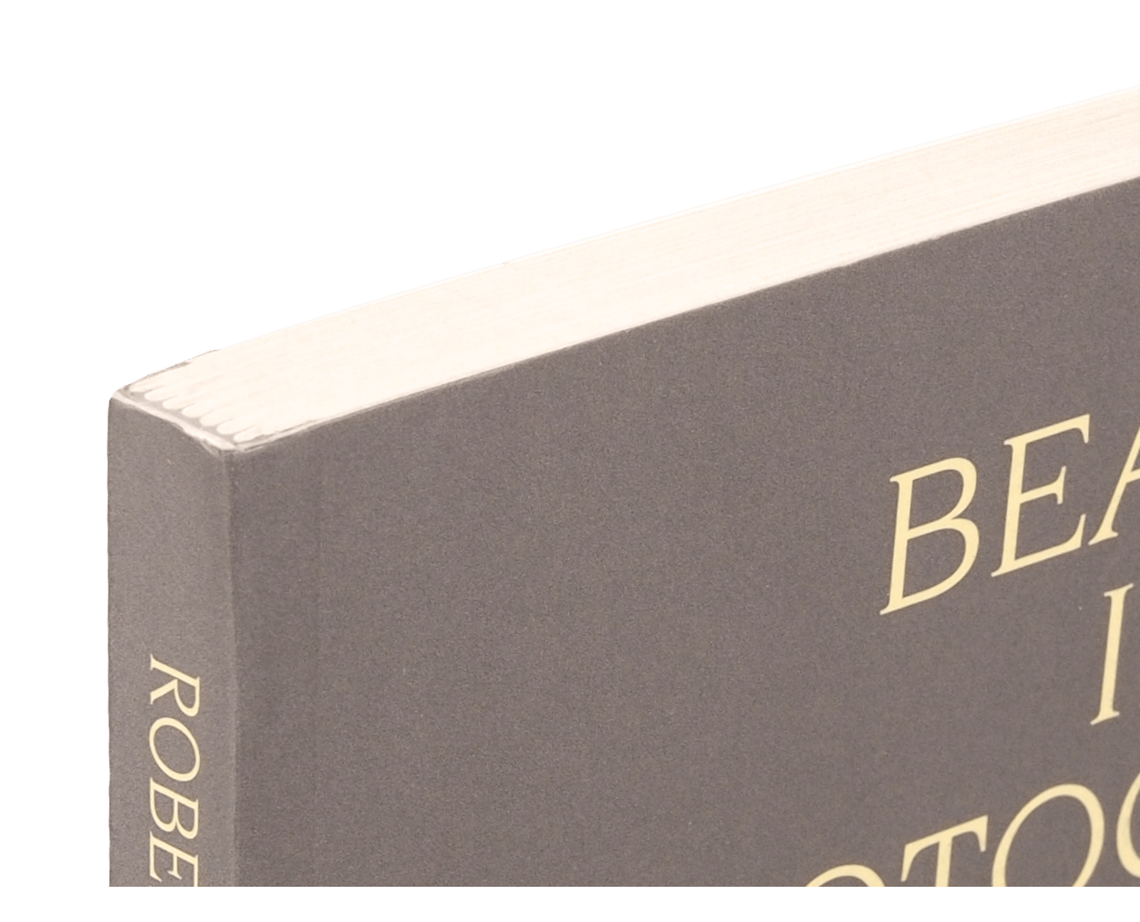 Product image thumbnail