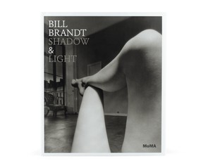 Книга "Shadow & Light"