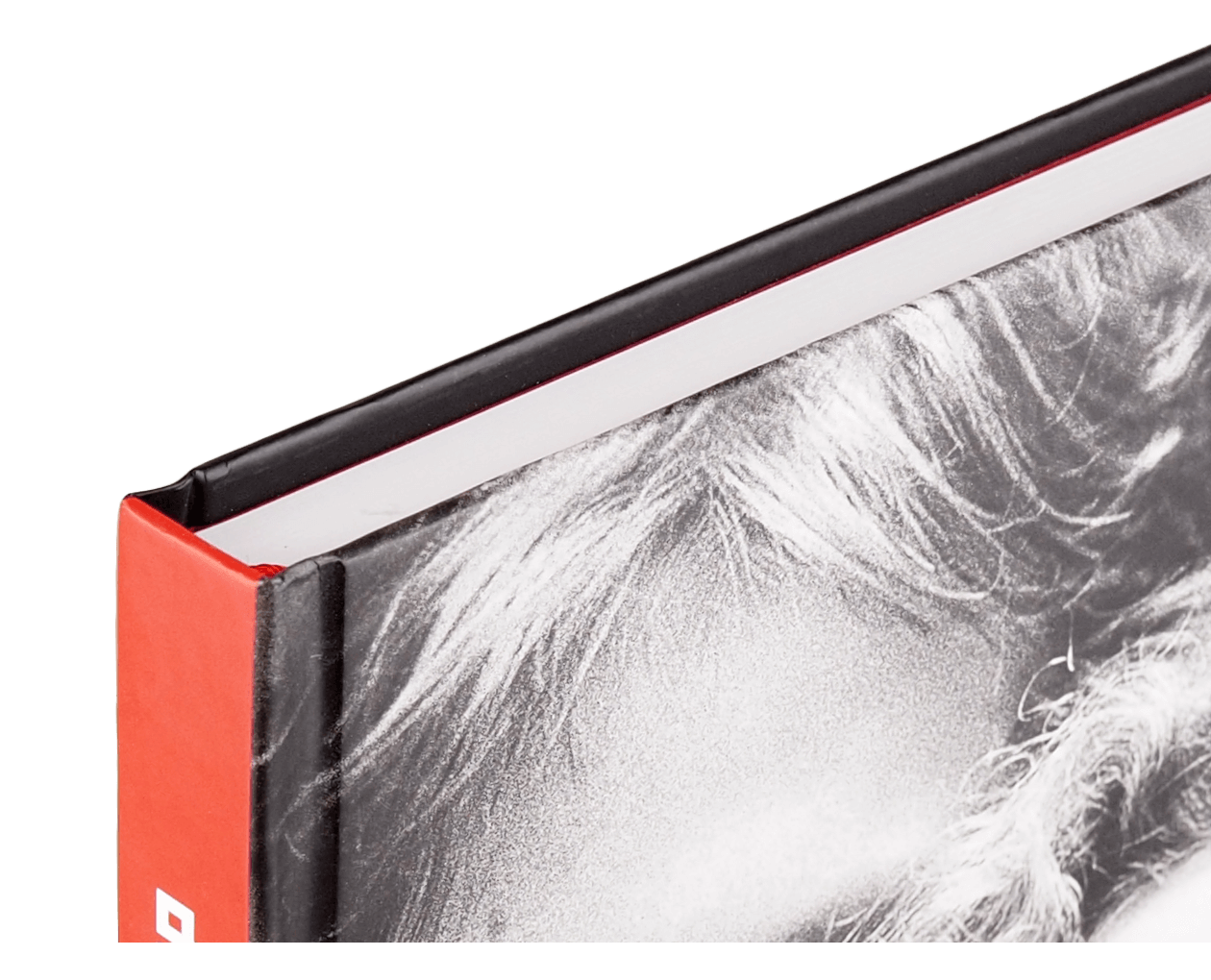 Product image thumbnail