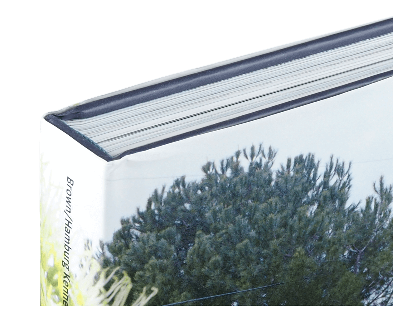 Product image thumbnail