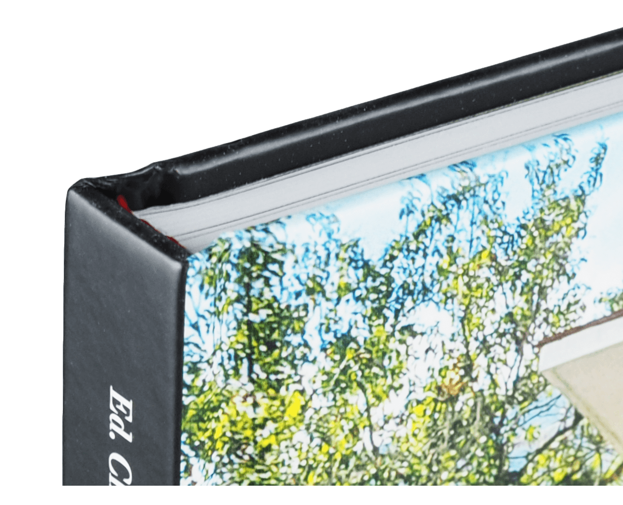 Product image thumbnail