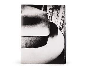Книга "Light & Shadow"