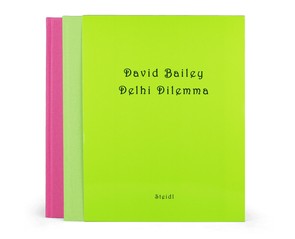 Книга "Delhi Dilemma"