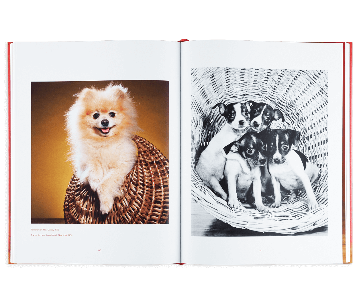 Product image thumbnail