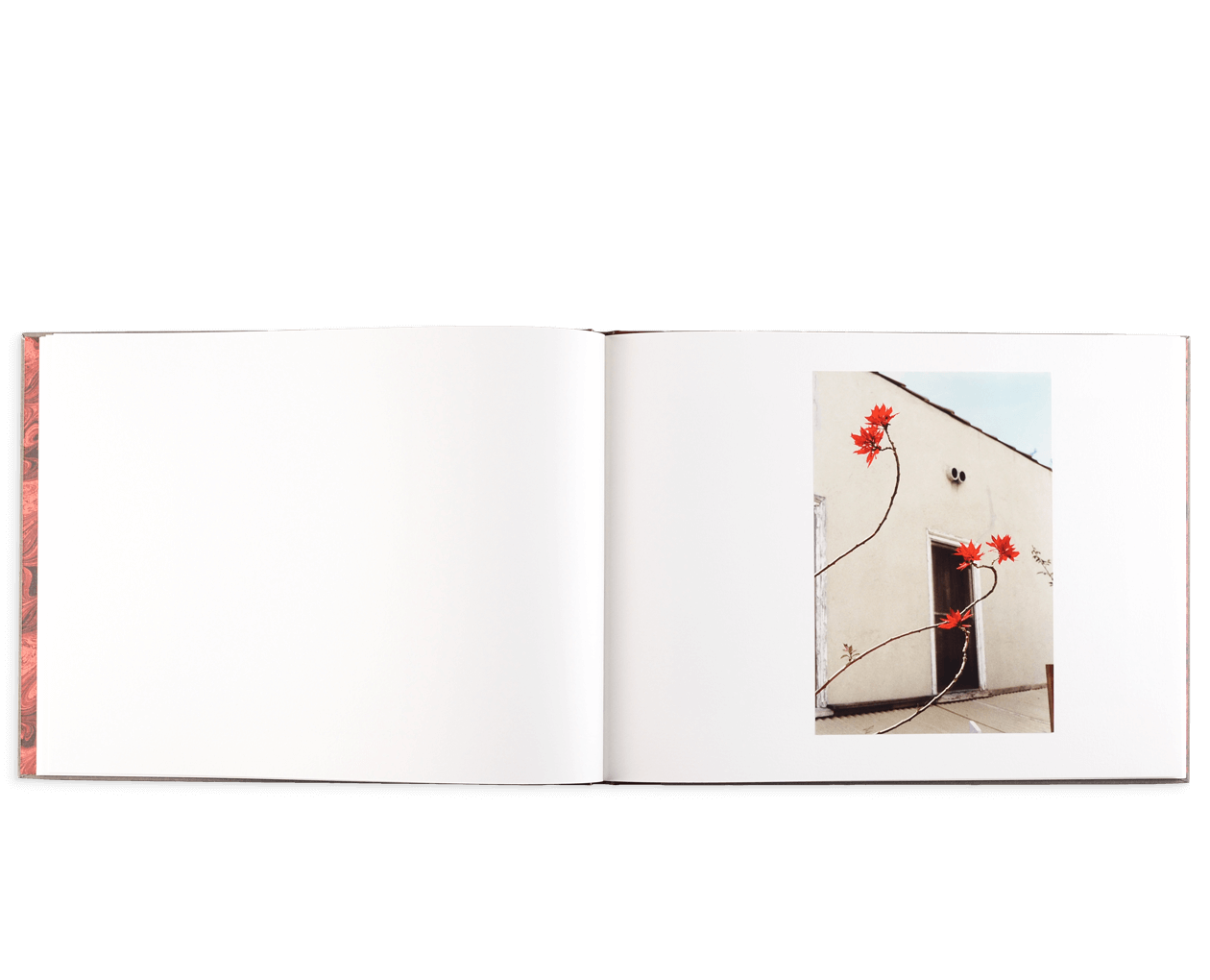 Product image thumbnail