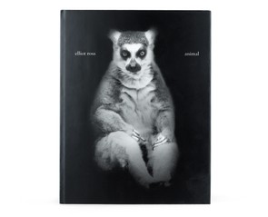 Книга "Animal"