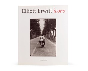 Книга "Icons"