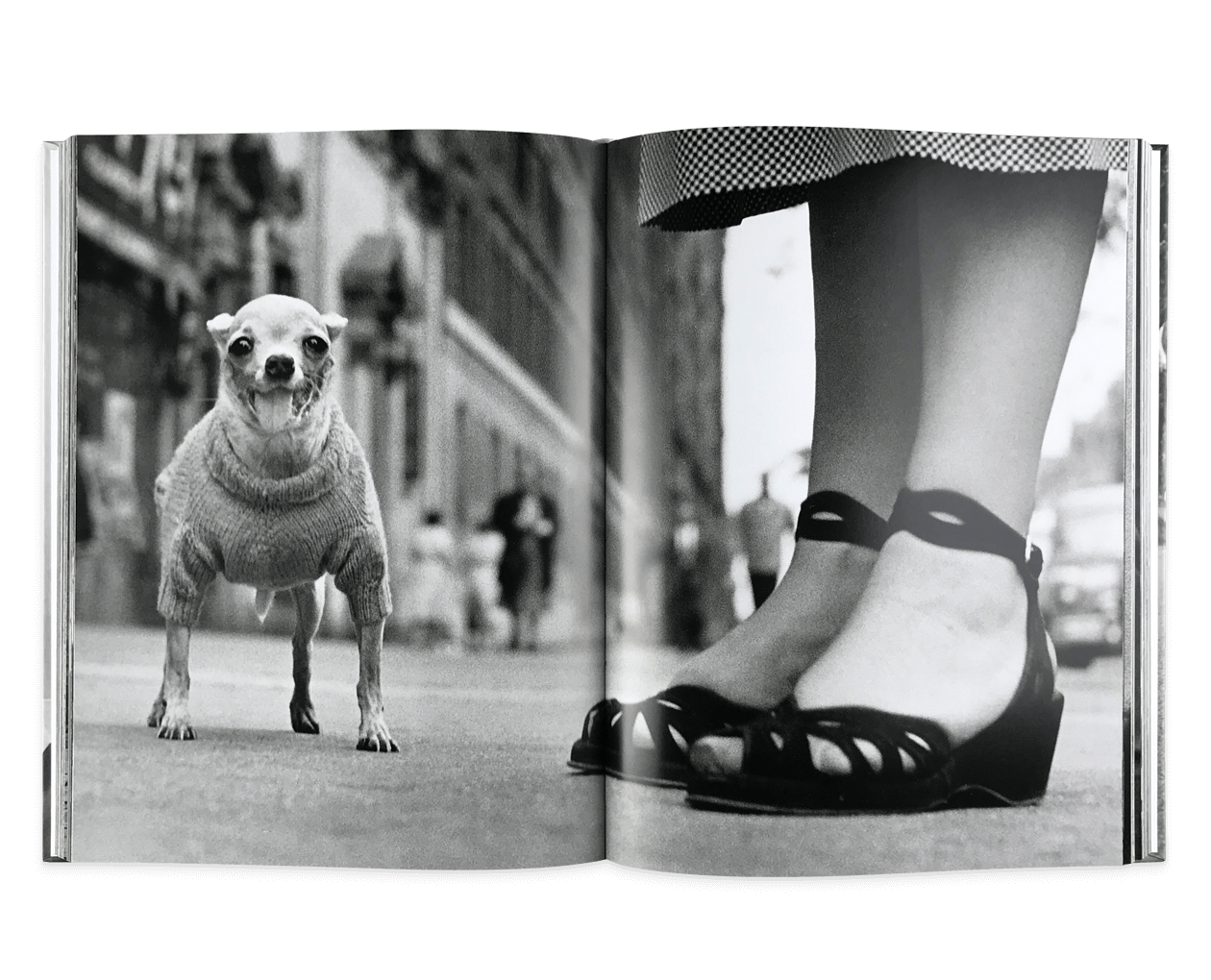 Product image thumbnail