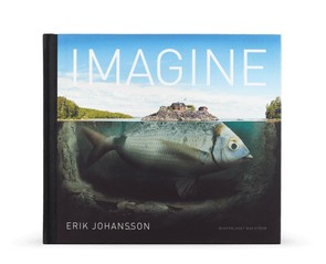 Книга "Imagine"