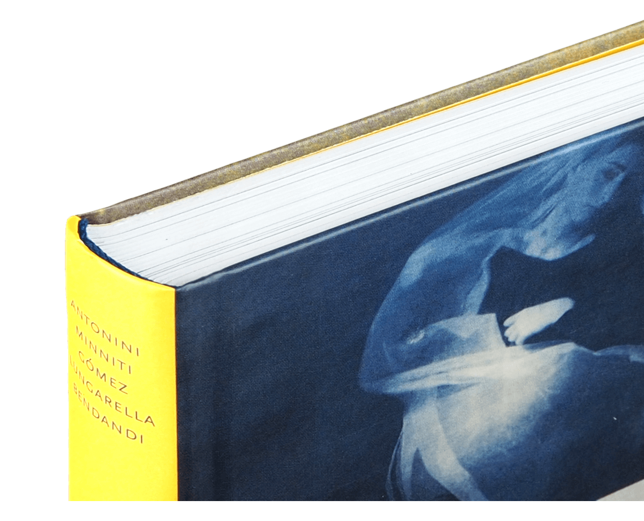 Product image thumbnail