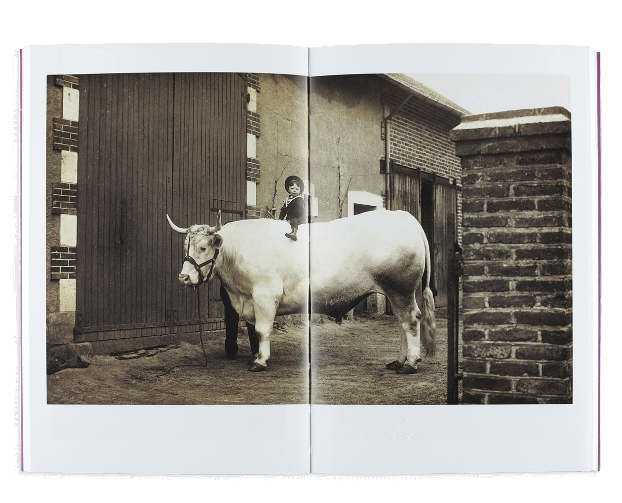 Product image thumbnail