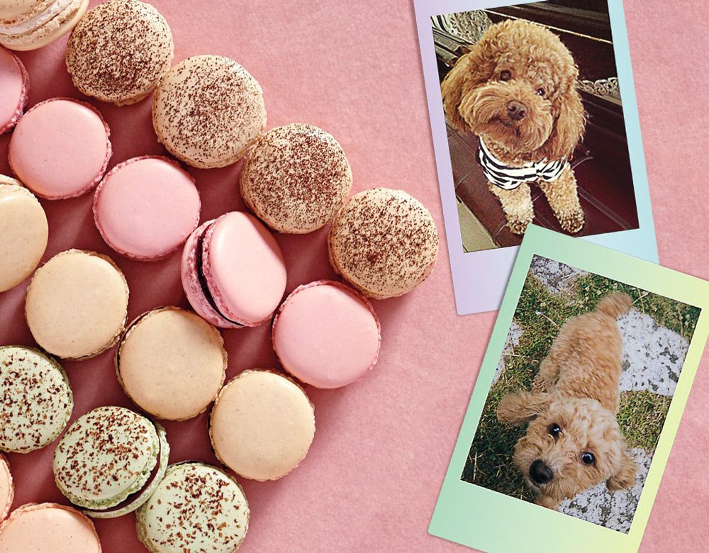 Product image thumbnail