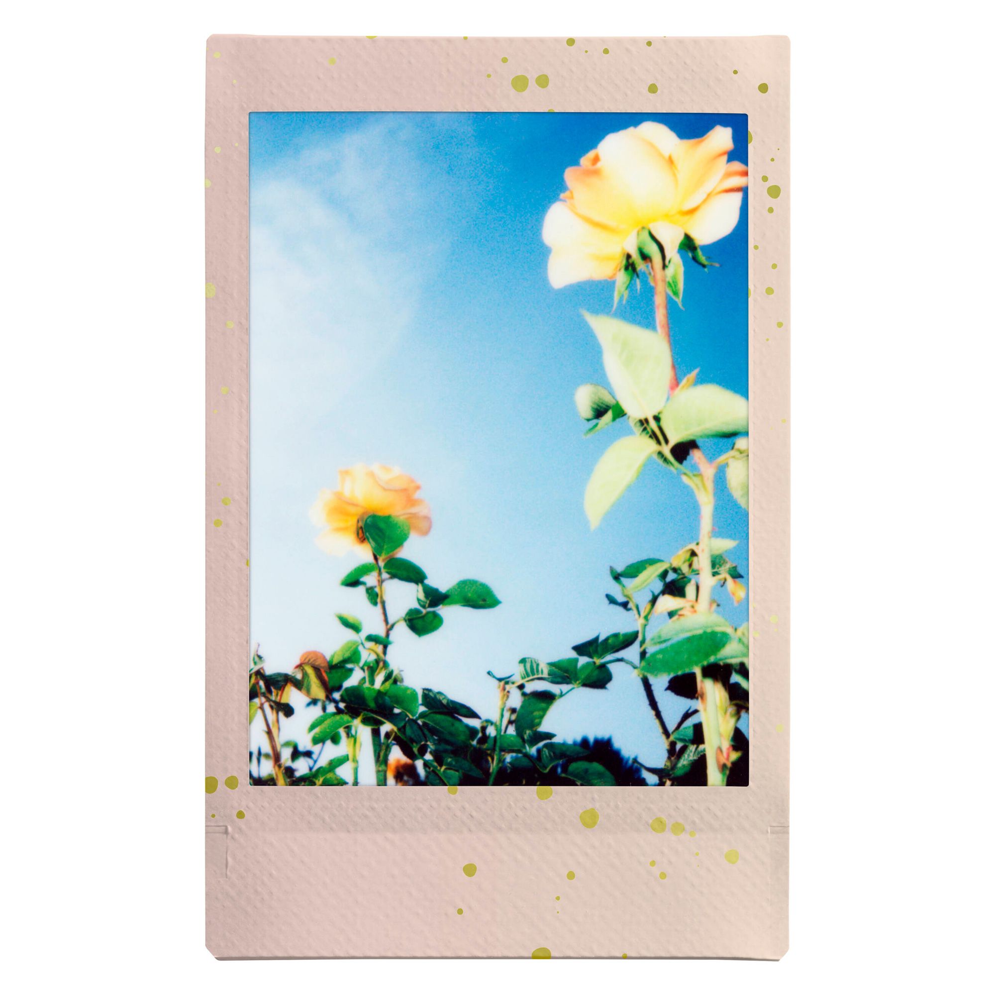 Product image thumbnail