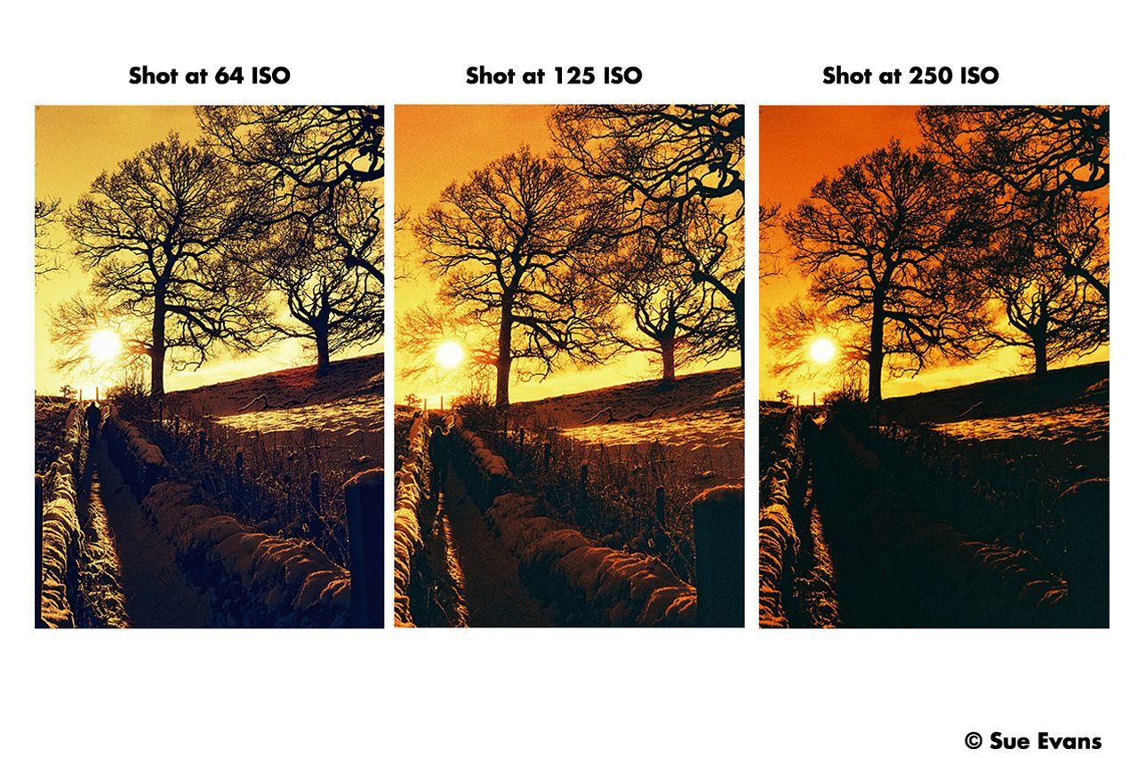 Product image thumbnail