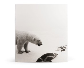 Книга "Dioramas"