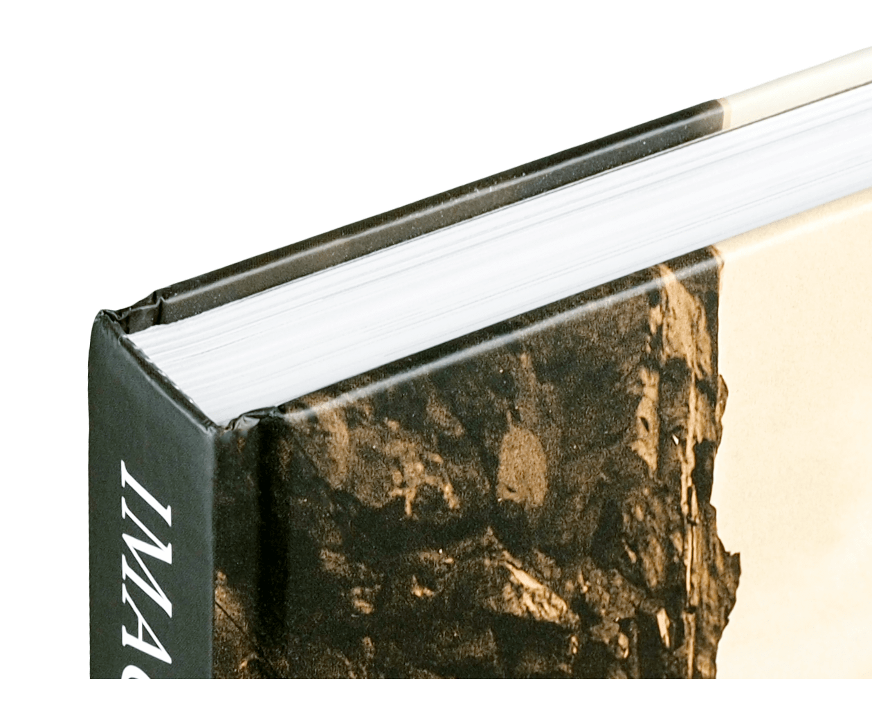 Product image thumbnail