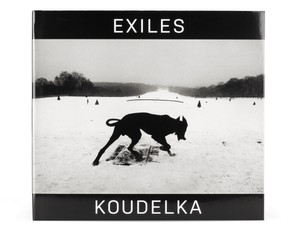 Книга "Exiles"
