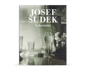 Книга "Labyrinths"