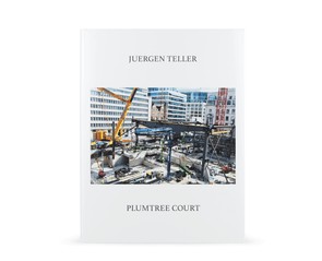 Книга "Plumtree Court"
