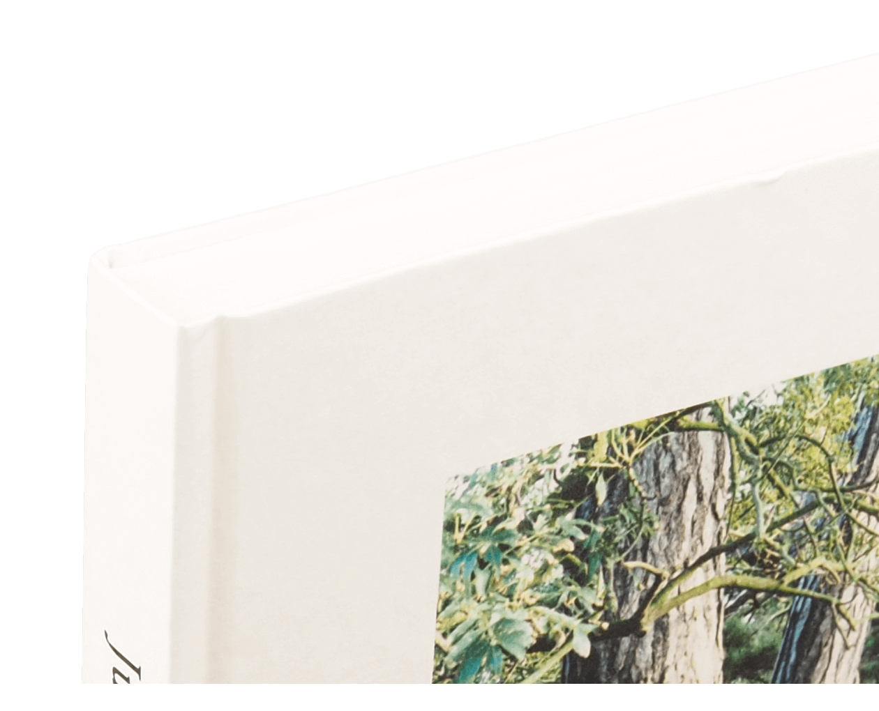Product image thumbnail