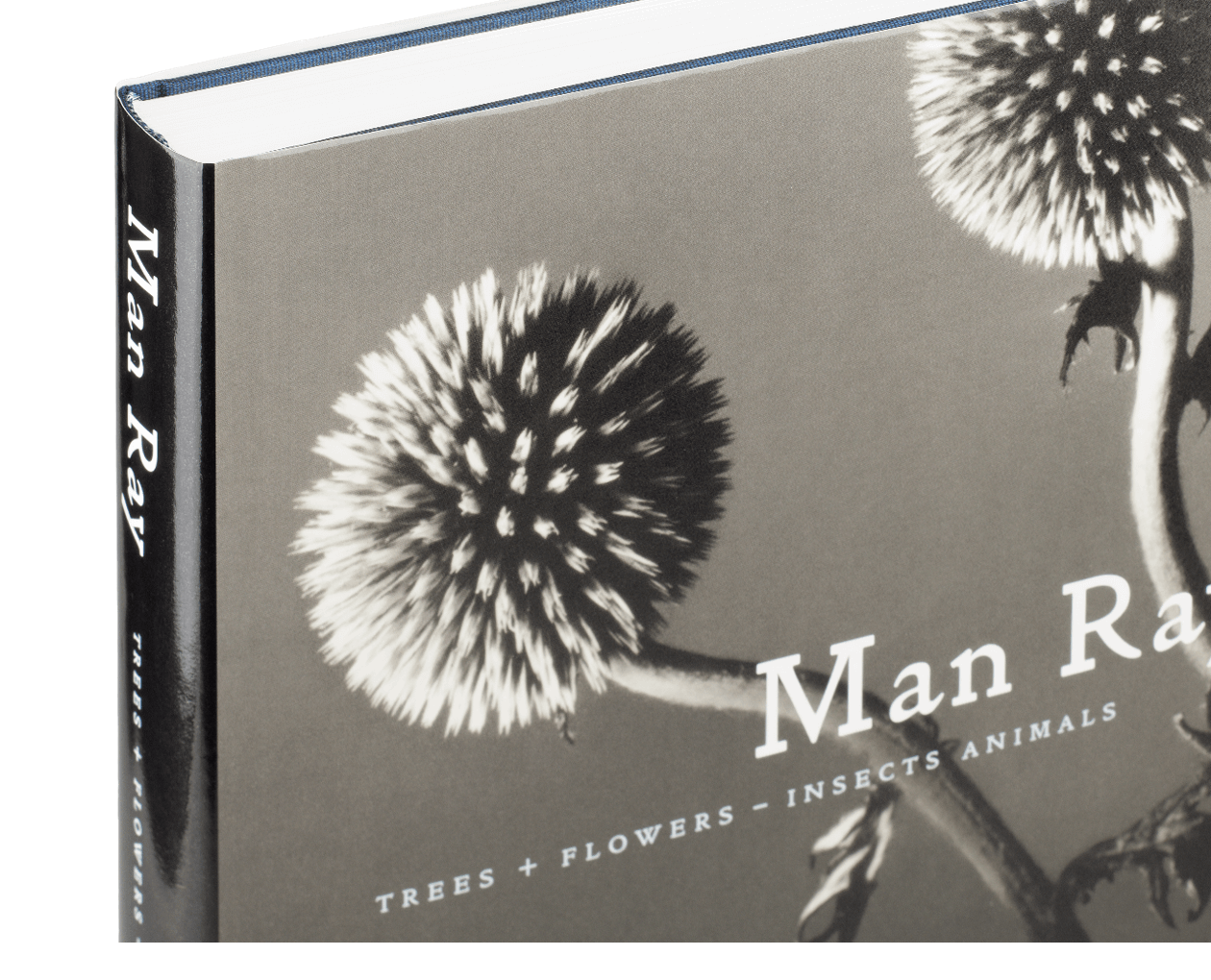 Product image thumbnail