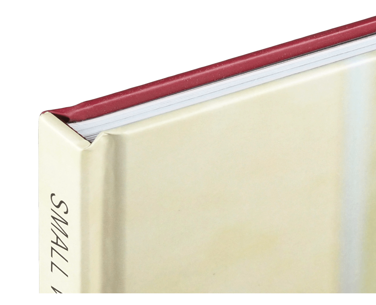 Product image thumbnail