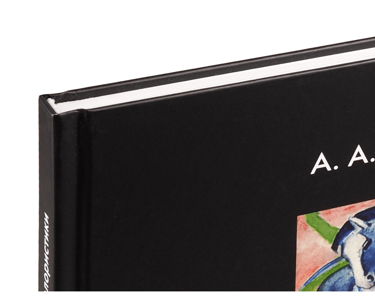 Product image thumbnail