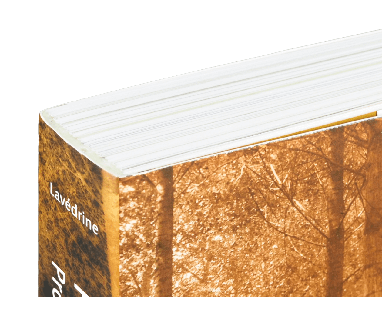 Product image thumbnail