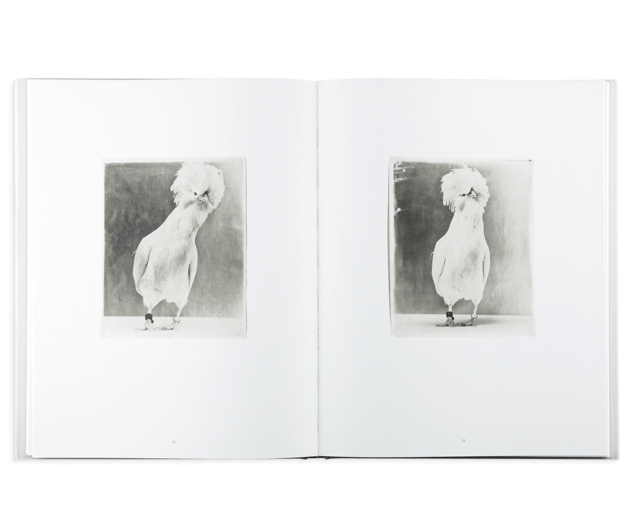 Product image thumbnail