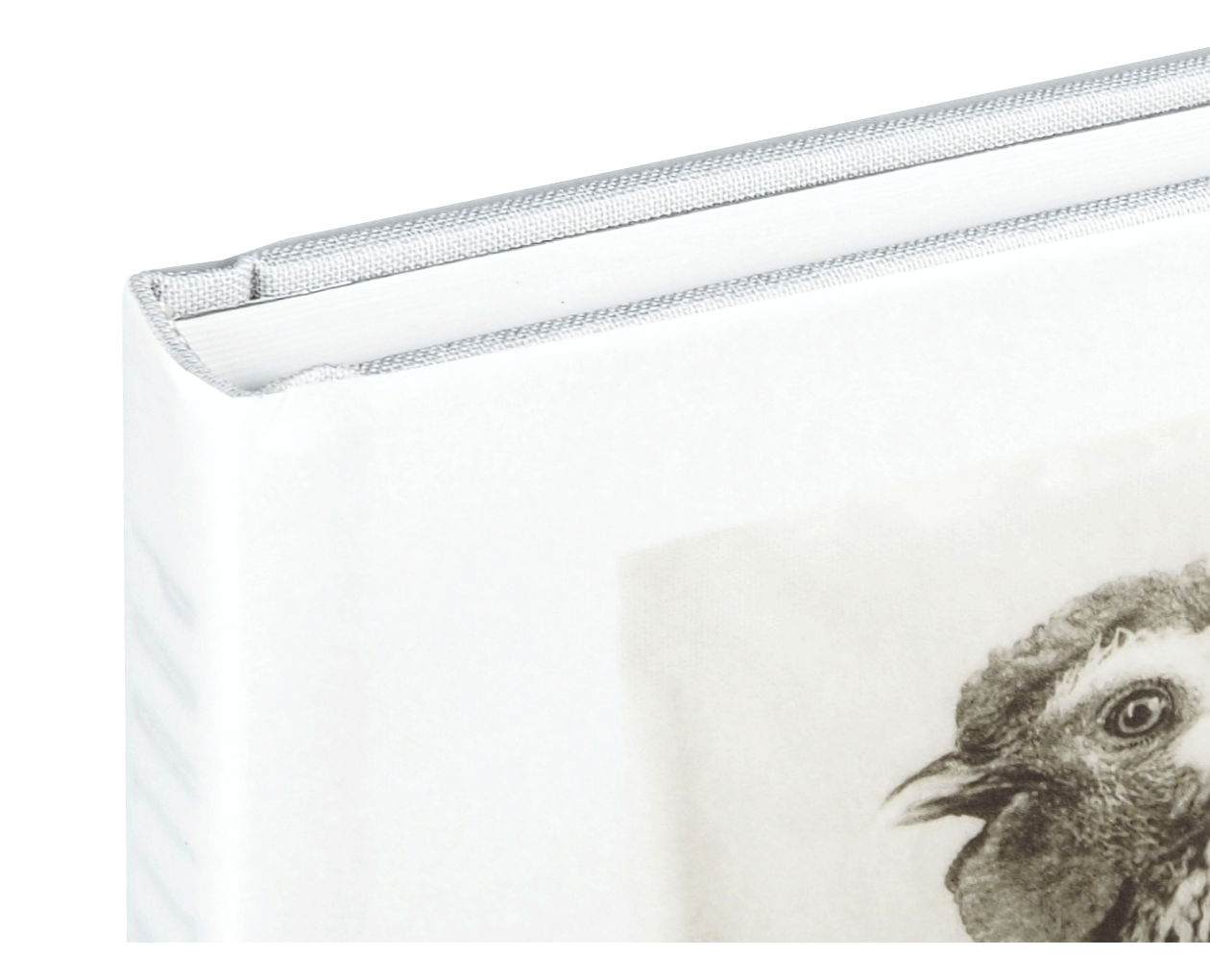 Product image thumbnail