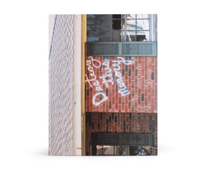 Книга "Destroy this Memory"