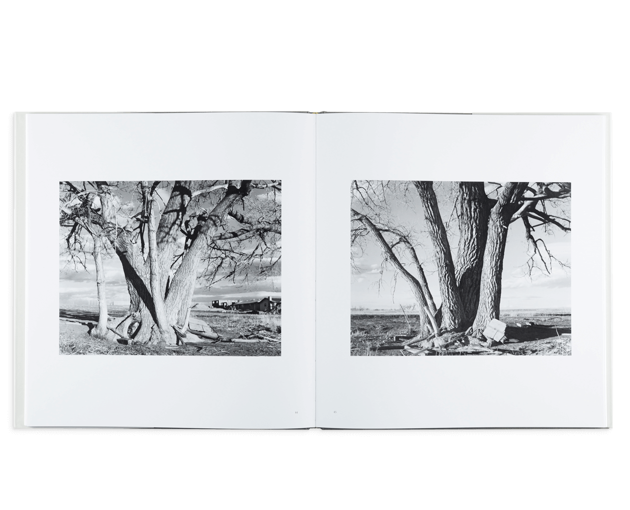 Product image thumbnail