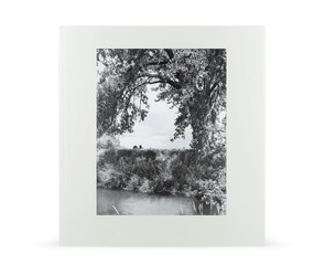 Книга "Cottonwoods"