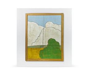 Книга "The Plains, from Memory "