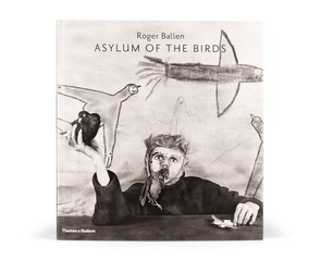 Книга "Asylum of the Birds"
