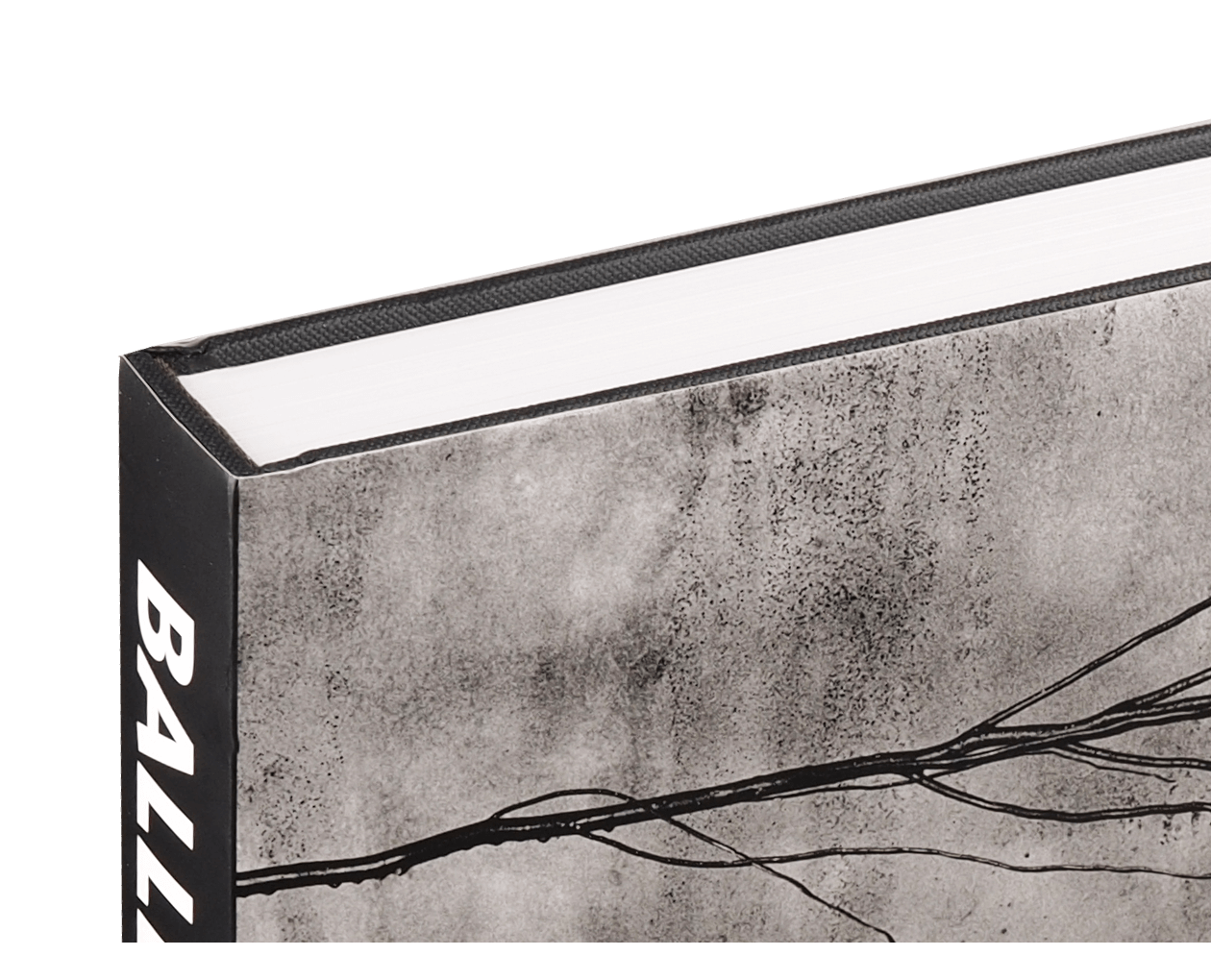 Product image thumbnail