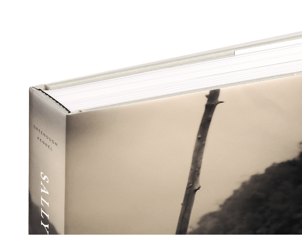 Product image thumbnail