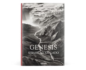 Книга "Genesis"