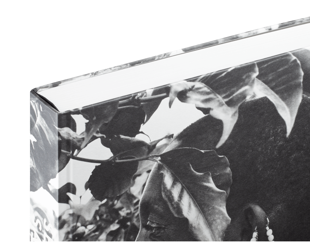 Product image thumbnail