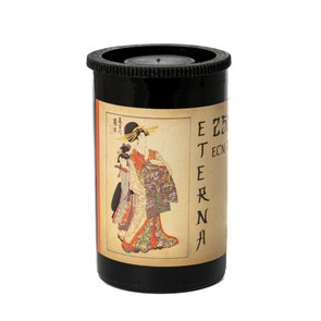 Кинопленка SFL Eterna 250D 135/36 (просрочка)