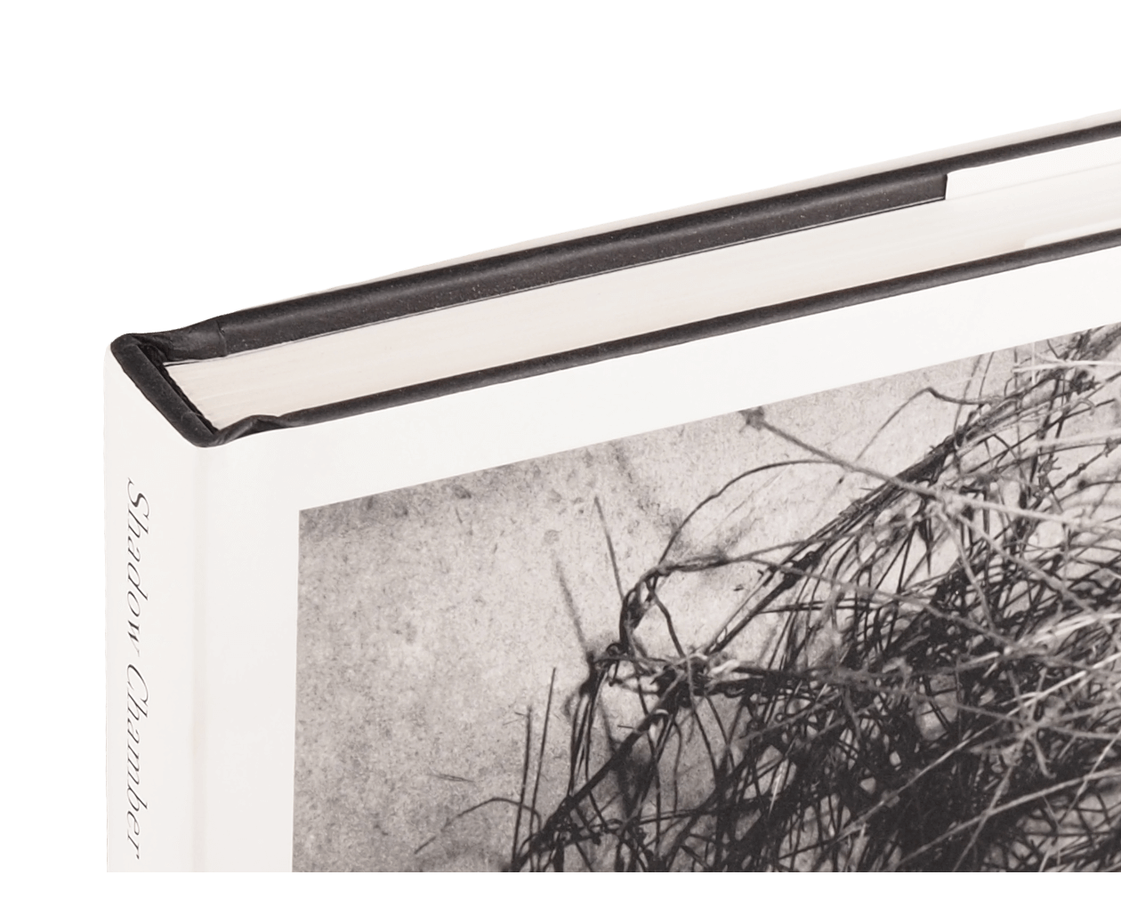 Product image thumbnail